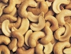 Cashew nuts,Almond nuts,pistachio nuts,betel nuts for sale